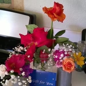 Meet your Posher, Carmen